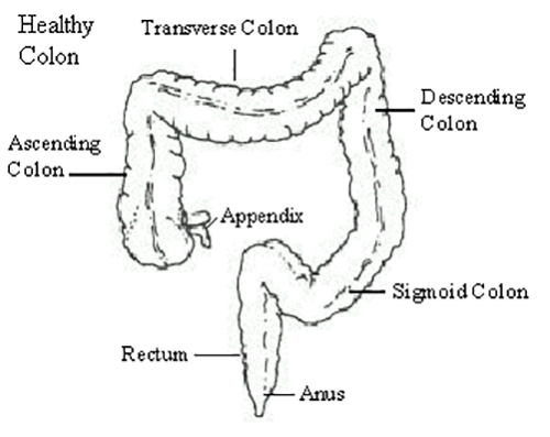 Anal Itching